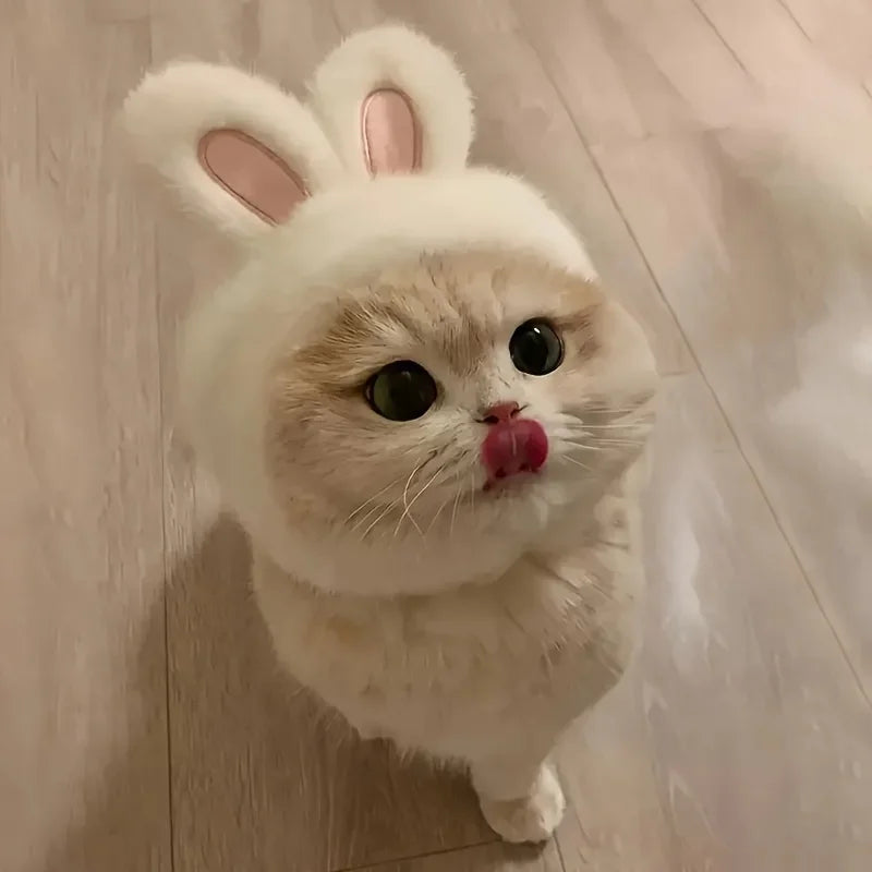 Chapéu de pelúcia com orelhas de coelho para animais de estimação