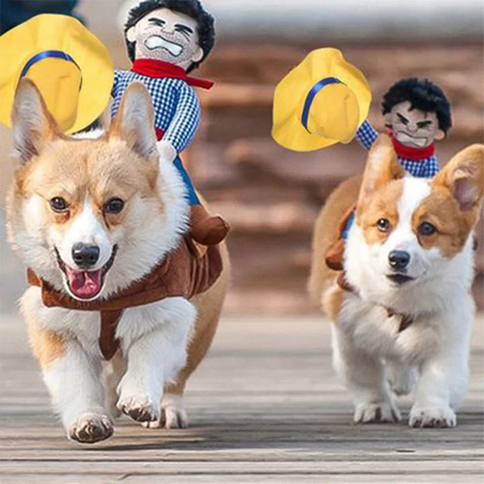 Fantasia de cowboy para cães
