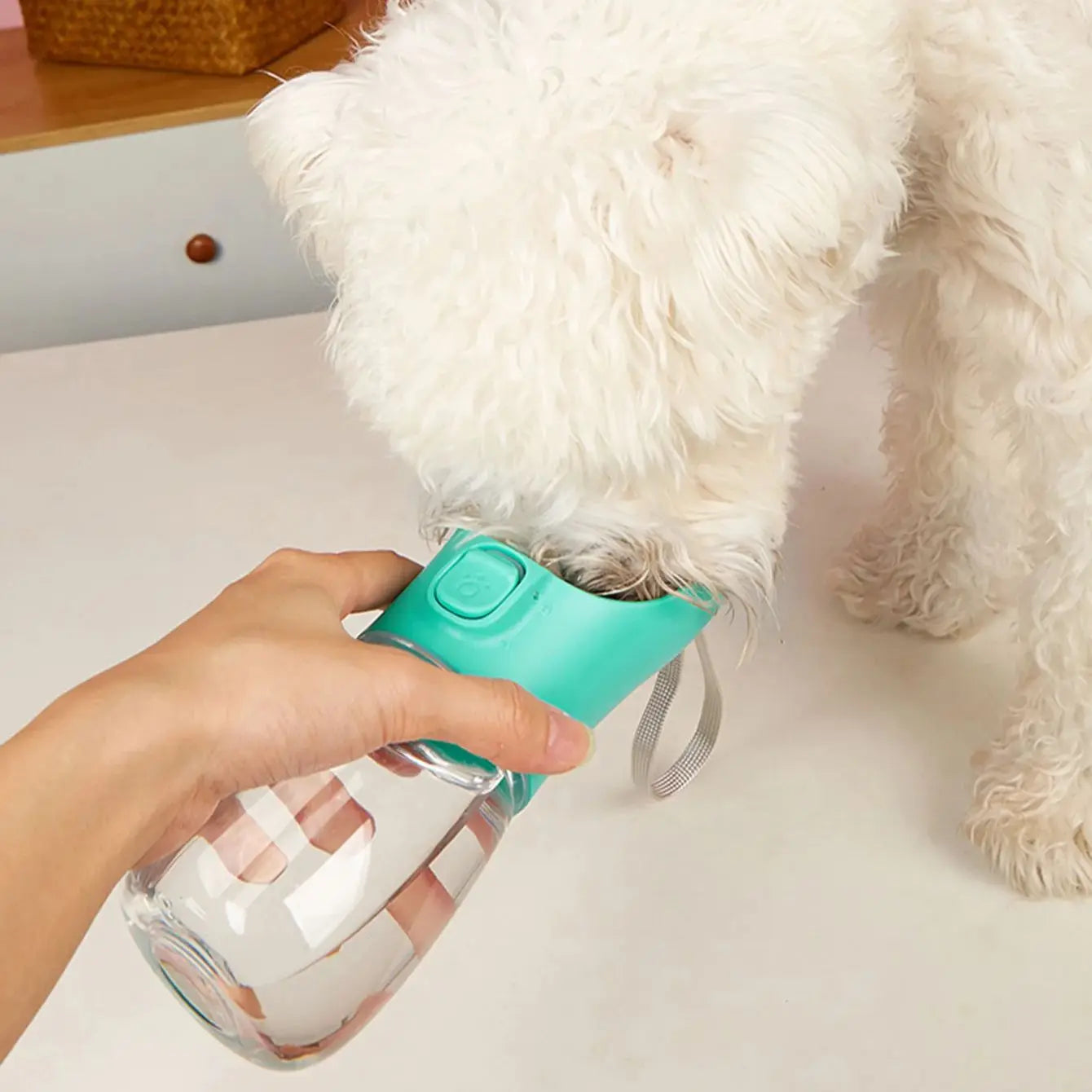 Garrafa de Água Portátil para Pets – Bebedouro de Passeio Anti-Vazamento