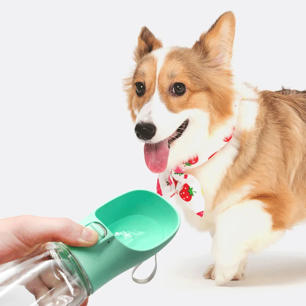 Garrafa de Água Portátil Pet – Bebedouro de Passeio Anti-Vazamento