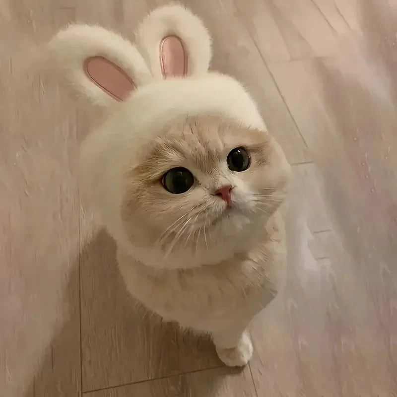 Chapéu de pelúcia com orelhas de coelho para animais de estimação