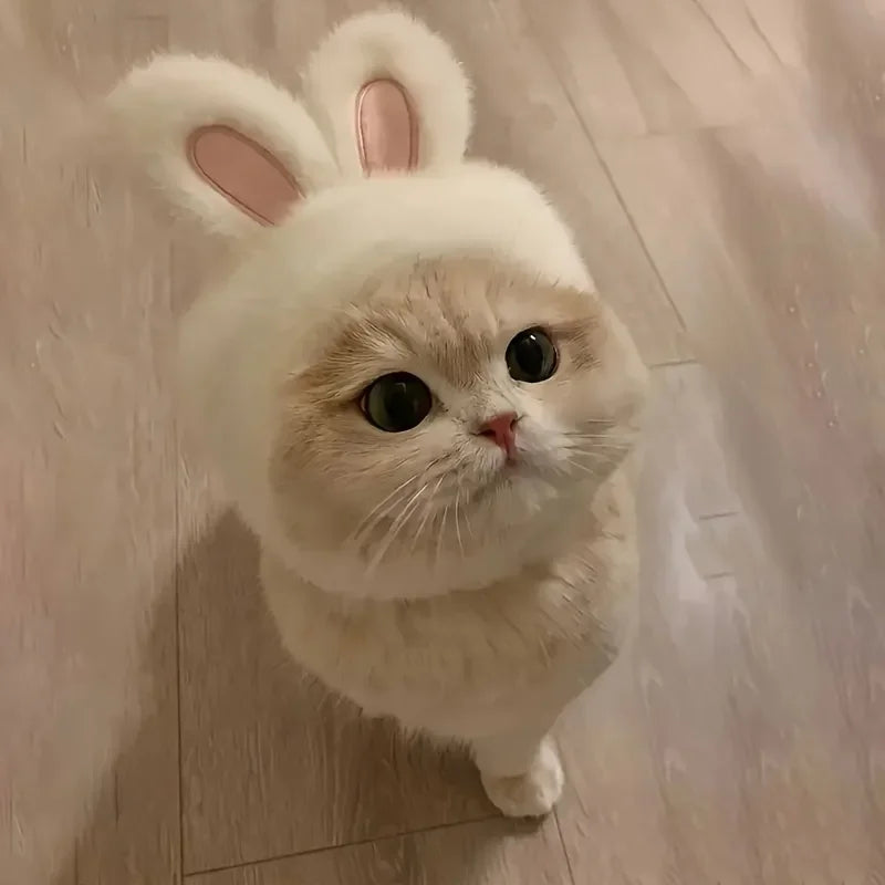 Chapéu de pelúcia com orelhas de coelho para animais de estimação