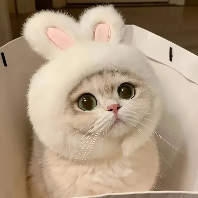 Chapéu de pelúcia com orelhas de coelho para animais de estimação