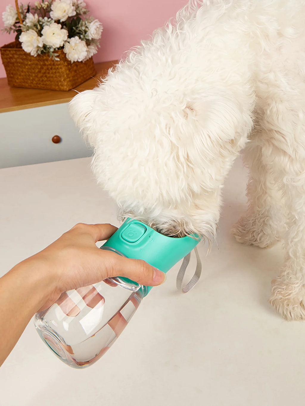 Garrafa de Água Portátil Pet – Bebedouro de Passeio Anti-Vazamento