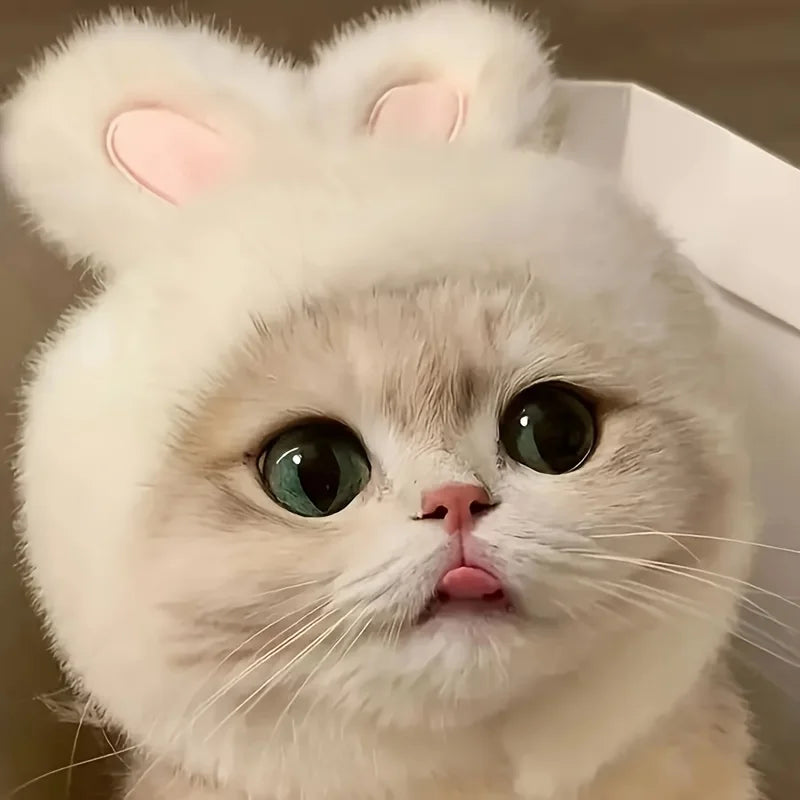 Chapéu de pelúcia com orelhas de coelho para animais de estimação