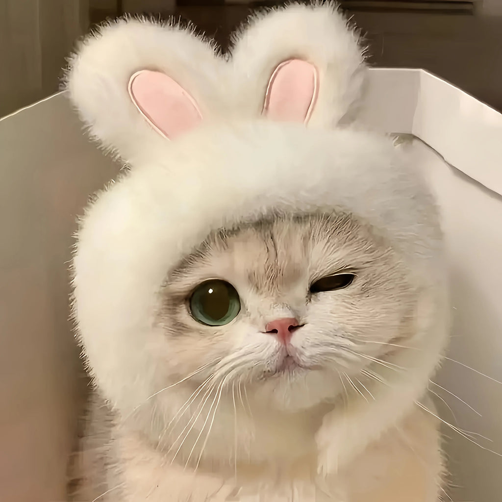 Chapéu de pelúcia com orelhas de coelho para animais de estimação